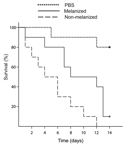 Figure 3. Kaplan–Meier survival curves for larvae infected with melanized and non-melanized C. neoformans cells. Larvae infected with melanized C. neoformans survived longer than those infected with non-melanized cells. The results of one representative infection are shown (n = 10).