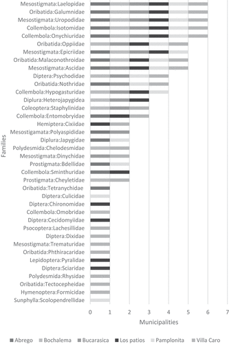 Figure 3. Families of mesofauna present in the municipalities.