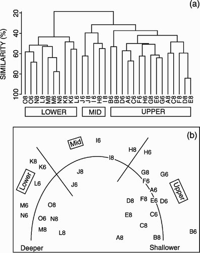 Figure 4. Multivariate analysis of macrobenthic polychaete species composition down the West Shetland Slope transect: (a) cluster analysis and (b) multidimensional scaling ordination. The site samples are coded by depth (A, 150 m; B, 200 m... O, 1000m) and year (6, 1996; 8, 1998). Stress values 1996=0.1; 1998=0.16.