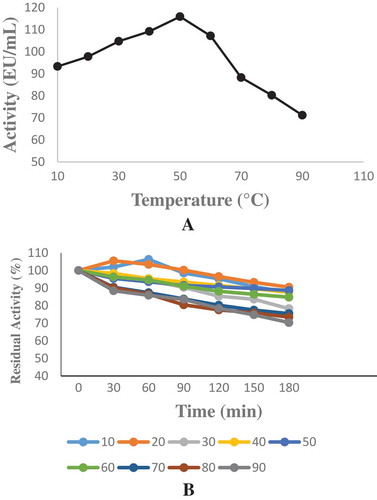Figure 3. The optimum and temperature stability were determined between at 10°C and 90°C and sodium phytate was used as a substrate. a-) Optimum temperature profile for the purified phytase b) Temperature stability study for the purified phytase.