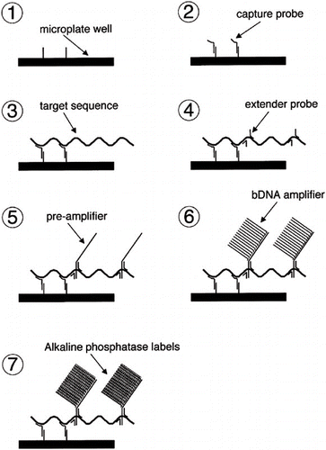 Figure 2. HCV genotypes.