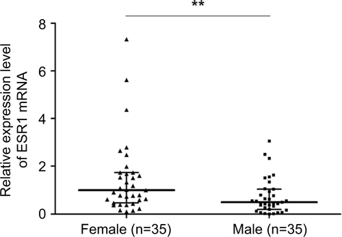 Figure S4 ESR1 expression between male (n=35) and female (n=35) patients.Note: **P<0.01.