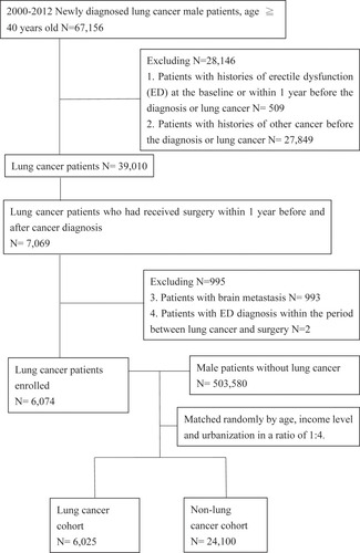 Figure 1 Flowchart of the patient enrollment process of the lung cancer and matched non-lung cancer cohorts.