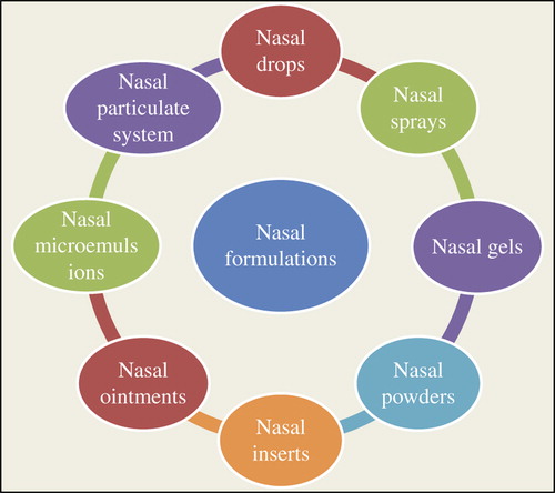 Figure 1. Various forms of nasal formulations.
