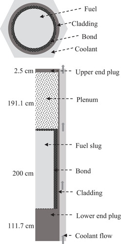 Fig. 2. Fuel cell model for thermal-hydraulic analyses.