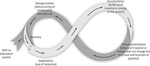 Figure 2. Four phases of the adaptive cycle: exploitation, accumulation, disturbance/release, and reorganization.  Adapted from Gunderson and Holling (Citation2002).