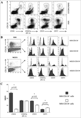 Figure 3. Expression of ectoenzymes in CD138+ cells from BM samples obtained from MM patients and controls (MGUS/SMM). Flow cytometric dot plots in Panel A show a representative experiment, where BM cells from MM and MGUS patients were stained with anti-CD138 mAb (y axes) and anti-CD38, anti-CD203a(PC-1), anti-CD39 and anti-CD73 mAbs (x axes). Flow cytometric profiles in Panel B show a representative experiment, where BM cells from MM and MGUS patients were stained with anti-CD138 mAb (y axes) and anti-CD38, anti-CD203a(PC-1), anti-CD39 and anti CD73 mAbs (x axes). The expression of each ectoenzyme was evaluated in CD138+ and CD138− cells. Grey profiles indicate MVs stained with irrelevant isotype-matched mAbs and black profiles indicate MVs stained with specific mAbs. Histograms in Panel C summarize the MRFI of each ectoenzyme calculated gating on BM CD138+ cells in samples from MM patients (n = 4).