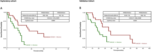 Figure 2 Overall survival (OS) analysis according to HMGB1 mRNA expression levels (lower versus higher that the median value). (A) In the exploratory cohort (n=42), there was a significant difference in overall survival for patients with low HMGB1 versus high HMGB1 mRNA expression level (hazard ratio [HR], 0.30; 95% CI, 0.12–0.73; P=0.0076) (B) In the validation cohort (n=41), a significant difference in overall survival was confirmed for patients with low versus high HMGB1 mRNA expression level (HR, 0.39; 95% CI, 0.17–0.90; P=0.0288).