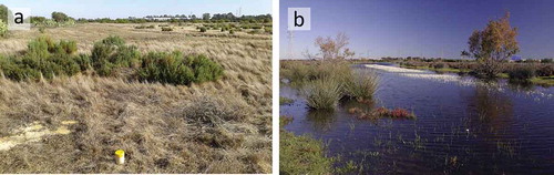 Figure 2. Views of the studied area. (a) Aspect of the study area during the dry season; in the foreground a piezometer of the hydrological control network can be observed. (b) The study area flooded after the rain season.