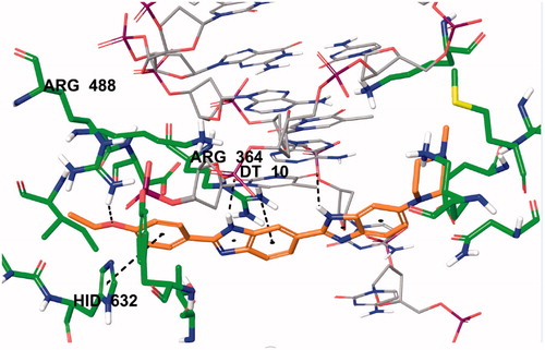 Figure 13. Three-dimensional interaction of Hoechst 33342 with the DNA-Topoisomerase I enzyme complex active site.