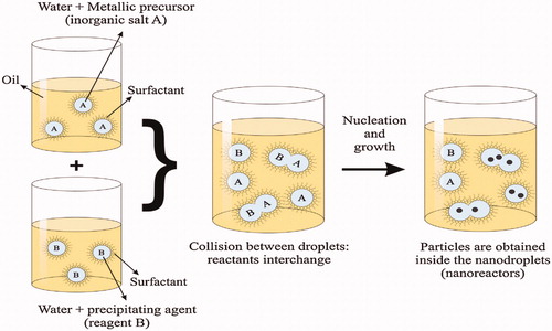 Figure 2. Scheme of an oil-in-water (O/W) micro-emulsion reaction method for synthesis of nanoparticles. Reproduced with permission from Elsevier (Lima-Tenoria et al. Citation2015), Copyright 2015.