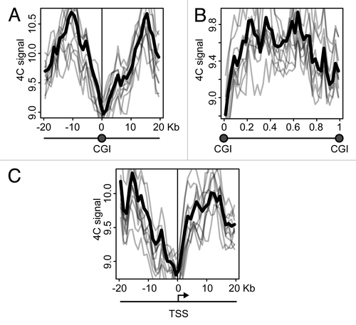 Figure 8. Distribution of the 4C signal in the vicinity of promoters and CGIs observed in experiments with GENE-Des anchor. Plots similar to shown in Figure 7A–C, obtained in the experiment with the GENE-Des anchor.