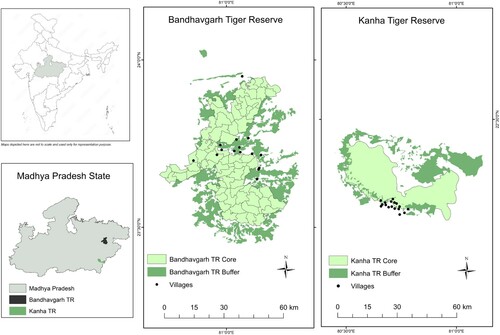 Figure 1. Location of 32 villages affected with lumpy skin disease (LSD) located around the Kanha Tiger Reserve (KTR) and Bandhavgarh Tiger Reserve (BTR) in the state of Madhya Pradesh, India. KTR is spread over 2051 km2 and includes a 1134-km2 multiple-use buffer zone (dark green) surrounding a 917-km2 core zone (light green) of restricted human activity. There are 20 villages (black dots) in the core zone and 161 villages in the buffer zone. BTR is spread over an area of 1598 km2 with 11 villages in the core zone (716 km2) and 140 villages in the buffer area (820 km2). The inhabitants belong predominantly to the Baiga and Gond tribes.
