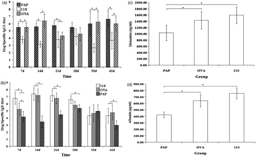 Figure 4. Levels of specific antibodies, histamine and vascular permeability for PAP-, OVA-, and 11S globulin-sensitized mice. (a) Specific IgG1. (b) Specific IgE. (c) Histamine. (d) Vascular permeability. The data show that levels of specific IgE, histamine, and vascular permeability in 11S globulin-sensitized mice were higher than in OVA- or PAP-sensitized mice. Levels of these indexes in OVA-sensitized mice were higher than in PAP-sensitized mice. Except for specific IgG antibody levels, the specific IgE, histamine, and vascular permeability outcomes were in accordance with the predicted allergenicity of these three proteins (11S globulin > OVA > PAP), indicating that this mouse model could distinguish allergens possessing different allergenicities. *Significant differences between bracketed values at p ≤ 0.05.