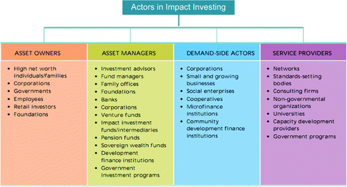Figure 2. Actors in impact investing. Source: Harji and Jackson (Citation2012).