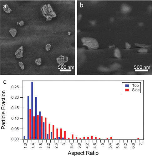 Figure 3. SEM images of ATD from the (a) top-down and (b) side-on orientations with (c) the distribution of aspect ratios determined for both orientations.