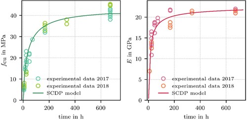 Fig. 8: Predicted evolution of the uniaxial compressive strength (left) and the Young's modulus (right): experimentally determined values from Ref. [Citation17] and additional experimental data from 2018,Citation19 and predictions by the calibrated shotcrete damage plasticity (SCDP) model