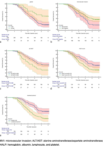 Figure 3 Overall survival curves of HCC patients after surgical resection based on gender (a), microvascular invasion (b), ALT/AST (c), HALP score (d) and treatment protocol (e).