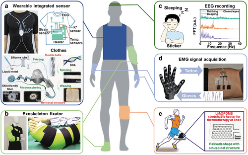 Figure 6. Examples of LM wearable devices with self-healing functions. A. Clothes with integrated multiple sensors (top). Textile fibers containing LM (bottom). Top left image: reproduced with permission from ref [Citation92]. Copyright 2022, American Chemical Society. Top right image: reproduced with permission from ref [Citation93]. Copyright 2019, American Chemical Society. Bottom image: reproduced with permission from ref [Citation94]. Copyright 2023, Elsevier BV. B. LM-based exoskeleton fixator for joint protection. Reproduced with permission from ref [Citation95]. Copyright 2023, Wiley-VCH Verlag. C. Schematic of real-time EEG recording during sleep state. Reproduced with permission from ref [Citation96]. Copyright 2022, American Chemical Society. D. Images of a glove equipped with LM capacitive sensor network and EMG signal acquisition using LM electronic tattoo on the forearm. Reproduced with permission from ref [Citation97]. Copyright 2018, American Chemical Society. E. Palisade shape stretchable LM@PDMS heater for thermotherapy at knee. Reproduced with permission from ref [Citation98]. Copyright 2019, Wiley-Blackwell.