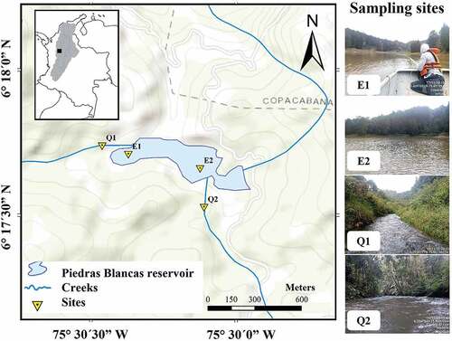 Figure 1. Map of the Piedras Blancas reservoir in the Magdalena River basin and sampling sites. E1, reservoir; E2, reservoir near dam; Q1, Chorrillos Creek; Q2, Piedras Blancas Creek.