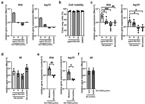 Figure 4. Role of cGAS on the Ifnb induction upon stimulation with SA planktonic or biofilm CM. Cells were stimulated with control medium (Med.), SA planktonic or biofilm CM 1:1 diluted in fresh growth media (DMEM high glucose + 10% FCS + 1% Pen/Strep) and effect of the cGAS antagonist RU.521 or cGAS agonist G3-YSD/LyoVecTM on the induction of Ifnb and its target gene expression was evaluated. a) Evaluation of the cGAS inhibitor RU.521. RAW 264.7 cells were treated with RU.521 in different concentrations (5 and 10 µg/ml) and 100 ng/ml of the cGAS agonist G3-YSD or its control was added to the cells together with the transfection reagent LyoVecTM for 20 hours. mRNA levels of Ifnb and Isg15 were quantified by RT-qPCR. Data are presented as relative gene expression of gene of interest related to the reference gene Hprt1 and normalized to the unstimulated medium control. n = 2 experiments. b) Viability of cells after treatment with RU.521. RAW 264.7 cells were treated with RU.521 in different concentrations (5 and 10 µg/ml) for 23 hours (duration of the experiments covering 3 hours of pre-incubation and 20 hours of CM stimulation) and cell viability was measured by SYTOXTM -staining and FACS analysis. DMSO as solvent control was added in the volume according to the highest inhibitor concentration (10 µg/ml, corresponding to 0.5%). Percentage of SYTOXTM -negative (living) cells are shown. n = 4 experiments. c+d) Gene expression analysis of Ifnb, target gene Isg15 and stress marker Il6. RAW 264.7 cells were treated with RU.521 in different concentrations (5 and 10 µg/ml) and SA planktonic CM was added to the cells for 20 hours. Cells stimulated with SA biofilm CM were included for comparison. mRNA levels of Ifnb and Isg15 (c) and Il6 (d) were quantified by RT-qPCR. Data are presented as relative gene expression of gene of interest related to the reference gene Hprt1 and normalized to the unstimulated medium control. n = 4 experiments. e+f) Gene expression analysis of Ifnb, target gene Isg15 and stress marker Il6. RAW 264.7 cells were treated with medium or SA biofilm CM and 100 ng/ml of the cGAS agonist G3-YSD or its control together with the transfection reagent LyoVecTM for 20 hours. mRNA levels of Ifnb and Isg15 (e) and Il6 (f) were quantified by RT-qPCR. Data are presented as relative gene expression of gene of interest related to the reference gene Hprt1 and normalized either to the control/LyoVecTM sample (Ifnb + Isg15) or to the unstimulated medium control (Il6). n = 4 experiments. For b-f: Data are presented as mean ± SEM and single values are shown as dots. p-values were calculated by ordinary one-way ANOVA with post-hoc Bonferroni corrected multiple comparison. * is indicating significance against medium (Med.), # is showing significance between different inhibitor concentrations or treatments. *p < 0.05, **p < 0.01, ***p < 0.001; #p < 0.05, ##p < 0.01, ###p < 0.001.