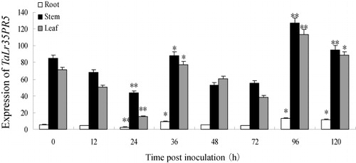 Figure 3. Expression profiles of TaLr35PR5 in different wheat tissues after inoculation with P. triticina at different time points. The relative expression is expressed as fold change relative to mock inoculated plants on 0 hpi. The y-axis indicates the amounts of wheat TaLr35PR5 transcript normalized to the GAPDH gene. The x-axis indicates different wheat tissues at different hpi. Error bars represent variation among three biological replicates. **p < 0.01, *p < 0.05, n = 3.