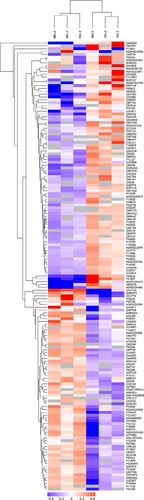 Figure 4 Significantly differentially expressed proteins between the MG and DG groups were well distinguished using hierarchical clustering analysis.