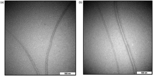 Figure 3. TEM images of carbon nanotube prepared for 20 min at laser energy of (a) 80 mJ and (b) 200 mJ.