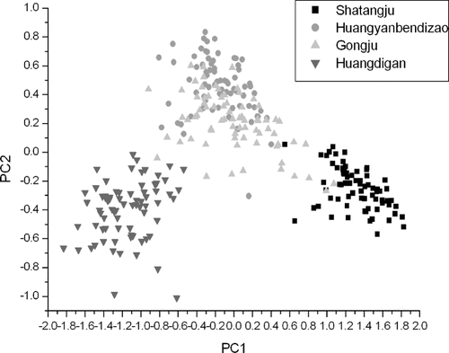 Figure 4 Principal component scores image (PC1 × PC2) of four varieties of oranges.