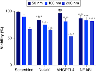 Figure 3. The dose-dependent assay for siRNAs (Notch1, scrambled (SC), ANGPLT4 and NF-κβ1) from left to right, respectively.siRNAs compared with mocked transfected PANC-1 cell line. Significant differences compared with SC siRNA.***p < 0.001; ****p < 0.0001.n = 3, values are (mean ± SD); ns: Not significant.