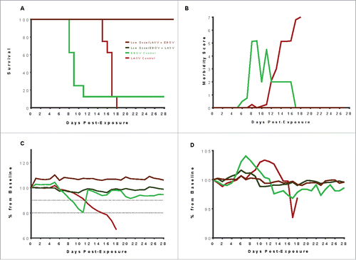 Figure 4. Outcomes of a cross-challenge study in which exposures to EBOV and LASV were temporally separated. Guinea pigs receiving the low dose vaccine and exposed to either LASV alone or EBOV alone were held in the BSL-4 laboratory for approximately 90 days following the end of the Primary exposure study, pending a cross-challenge experiment. Age and weight-matched control guinea pigs were assigned to virus exposure groups, and vaccinated guinea pigs that survived LASV-only exposure in the primary experiment were exposed to 1000 PFU EBOV by the subcutaneous route, while vaccinated guinea pigs that survived LASV-only exposure in the primary experiment were exposed to 1000 PFU EBOV by the subcutaneous route. All vaccinated guinea pigs survived the cross-challenge, indicating that the multi-agent LASV/EBOV DNA Vaccine can protect when exposures are temporally separated. (A) Survival curve for the cross-challenge study shows that all LASV-exposed, and all but one of the EBOV-exposed control guinea pigs succumbed, while the vaccinated guinea pigs survived to the endpoint. (B) Vaccinated guinea pigs remained well following virus exposure, whereas the control guinea pigs developed disease signs typical of LASV or EBOV exposure. The surviving EBOV-exposed control animal that survived developed disease signs following exposure, but recovered and had no observable signs of disease after day 17 post-exposure. (C) Vaccinated guinea pigs maintained their bodyweights following exposure, compared to control guinea pigs that lost weight steadily until euthanasia. The jump in weight in the EBOV control group occurring between days 11 and 12 is due to the last critically ill guinea pig succumbing, leaving the lone surviving control guinea pig. (D) Body temperatures remained stable for the vaccinated guinea pigs. Control guinea pigs experienced a febrile state similar to that seen in the primary study.