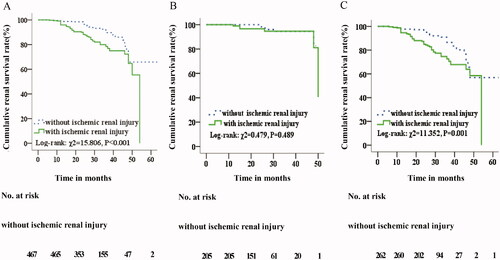 Figure 2. Kaplan-Meier analysis. (A) Comparison of renal cumulative survival with and without ischemic renal injury in IgA nephropathy patients. (B) Comparison of renal cumulative survival with and without ischemic renal injury in normotensive IgA nephropathy patients. (C) Comparison of renal cumulative survival with and without ischemic renal injury in hypertensive IgA nephropathy patients.