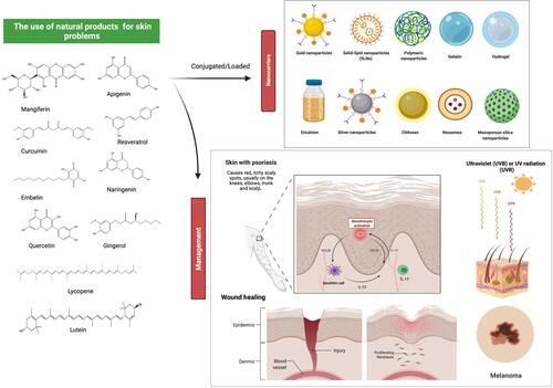 Figure 7 Effects of natural products on numerous skin conditions and possible drug delivery system. Nanocarriers are currently being used as a vehicle to deliver natural products to specific targeted regions in a regulated manner, as well as to overcome some of the drawbacks pertaining to the free compounds, such as poor bioavailability and rapid degradation. Natural products, along with innovative delivery systems, are a very promising area for future drug discovery against skin problems. For example, naringenin is a good candidate as an anti-psoriatic treatment as it inhibits over-expression of interleukin and ameliorated psoriasis and reduces transepidermal water loss. Resveratrol has protection against the main factor affecting non-melanoma skin cancer, which is UVB exposure by reducing COX-2 levels. Some other bioactive substances also exhibited a similar mode of action against various skin conditions including wound healing. Created with BioRender.com.