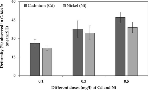 Figure 2. Deformity (%) observed in C. idella (mean ± SE) when exposed to different doses of Cd and Ni toxicity for 168 hph.