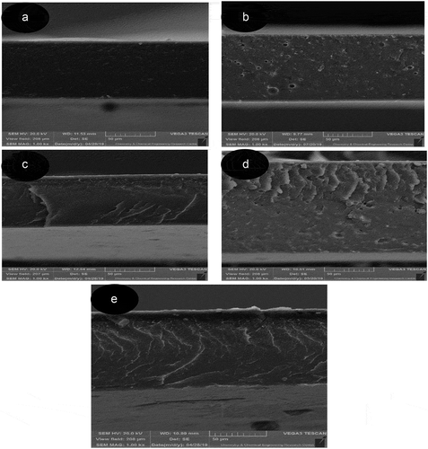 Figure 2. SEM images of pure EVOH film (a) and blended films of EVOH and propolis with different percentages: (b) 5%(W/W), (c) 10% (W/W), (d) 15% (W/W), (e) 20% (W/W)