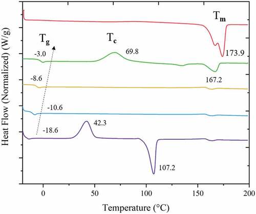 Figure 2. Second-heating scan thermogram of −100% 3HB (red), 75% 3HB (green), 50% 3HB (yellow), 25% 3HB (blue) and 100% 3HV (purple) - PHBV.