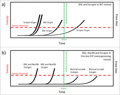 FIGURE 3. Schematic model of prion strain adaptation. (Model adapted from Collinge and Clarke 2007 and Sandberg et al 2011, 2013.Citation31,49,50) The red horizontal line indicates the tolerance threshold for prion toxicity for the respective model, the green vertical line indicates normal lifespan/experimental termination for the mice. The black curves indicate increase in prion titer over time upon prion inoculation. (a) BSE and classical scrapie in wild type mice according to Bruce et al.Citation23 (b) BSE, classical scrapie and Nor98 scarpie in PoTg001 mice according to Espinosa, Torres et al. (2009, 2014).Citation25,26