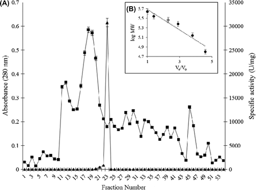 Figure 2. Elution profile of catalase from Sephacryl-S-200 column; (A) absorbance at 280 nm (-■-) and catalase activity (U/mg) (-▲-). (B) Molecular weight calibration curve; protein markers (-●-) and purified P. chrysosporium catalase (-○-).