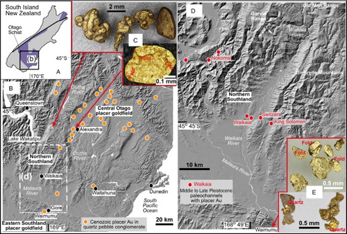 Figure 1. Location maps for the Waikaia placer mine and regional context for alluvial gold. A, The Otago Schist goldfield in the South Island of New Zealand. B, Hillshade topographic image of Central Otago and Eastern Southland goldfields, with locations of principal Cenozoic gold paleoplacers that have formed sources for gold in younger deposits during uplift and recycling. C, Coarse proximal gold nuggets with variable rounding, from the Nevis River catchment (top; Hesson et al. Citation2016), and a gold flake with folded edges from paleo-Clutha River channel (bottom; Stephens et al. Citation2015). D, Hillshade topographic image of the Waikaia River catchment and neighbouring rivers, with locations of principal gold mines in Pleistocene auriferous paleochannels. E, Placer gold from Waimumu Pliocene paleochannels, including flattened and folded flakes (top) and more proximal small nuggets (bottom).