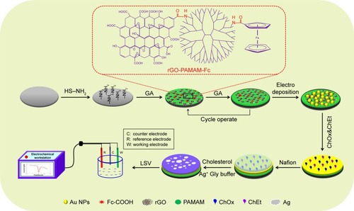 Scheme 1 Principle of ChOx&ChEt/Au NPs/rGO-PAMAM-Fc biosensor detecting cholesterol.Abbreviations: Fc, ferrocene; LSV, linear sweep voltammetry; NPs, nanoparticles; PAMAM, polyamidoamine; rGO, reduced graphene oxide.