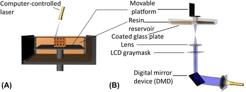 Figure 3. Schematic of two types of SLA setups. (A) A bottom-up system with a scanning laser. (B) A top-down setup with digital light projection (DLP). DLP is a method to illuminate the resin. A 2D pixel pattern is projected onto the coated glass plate with a digital mirror device (DMD), and then a complete resin is cured immediately. Adapted from reference (Citation54) with permission of UTpublications, University of Twente, Copyright 2010.