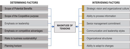 Figure 3. Factors influencing the magnitude of co-competitive tensions.