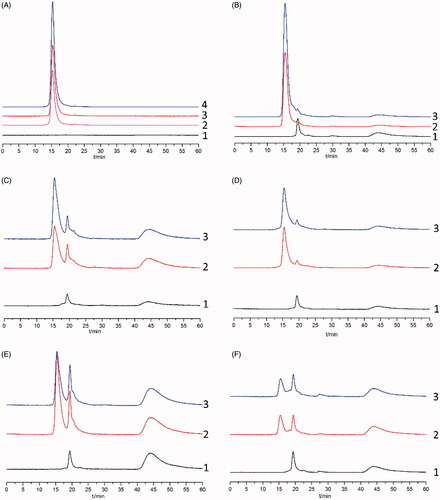 Figure 2. Representative chromatograms for the determination of FA in plasma (A) and various tissues (B: liver; C: stomach; D: spleen; E: heart; F: intestines) by HPGPC. (1) Blank plasma or tissue; (2) Blank plasma or tissue spiked with standard FA solution; (3) Plasma or tissue samples collected after intravenous injection of FA; (4) FA dissolved in phosphate buffer (pH =7.4).