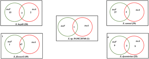 Figure 4. Venn diagram categorizes trehalase genes involved in the complete genomes of four Shigella species along with uncategorized Shigella sp. PAMC28760. Green circle represents the cytoplasmic trehalase (treF), whereas red circle represents the periplasmic trehalase (treA). The number outside the circles represents the absence of both trehalase genes.