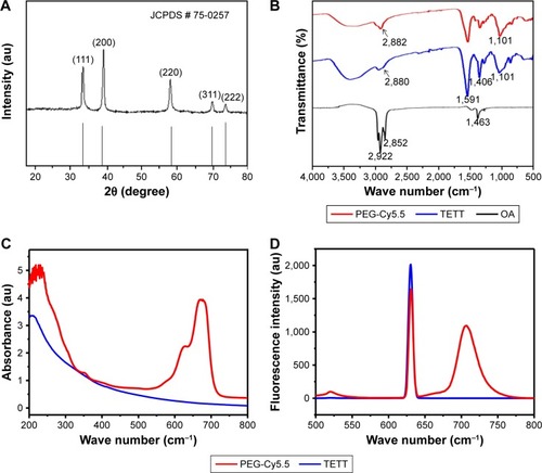 Figure 2 (A) XRD pattern of MnO-OA nanoparticles. (B) FTIR spectra of MnO-OA, MnO-TETT, and MnO-PEG-Cy5.5 nanoparticles. (C) UV-visible absorption spectra and (D) Fluorescence emission spectra of MnO-TETT and MnO-PEG-Cy5.5 nanoparticles.Abbreviations: FTIR, Fourier transform infrared spectra; TETT, N-(Trimethoxysilylpropyl) ethylene diamine triacetic acid; XRD, X-ray diffraction.