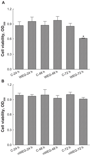 Figure 3 Effects of the water extract of Gusuibu (WEG) and nanoproducts of the WEG (nWEG) on cell viability. Primary rat osteoblasts isolated from neonatal calvarias were exposed to 1000 μg/mL of WEG (A) and nWEG (B) for 24, 48, and 72 hours. Cell viability was assayed according to a colorimetric method.Notes: Each value represents the mean ± SEM for n = 6. *Indicates that a value significantly differs from the respective control, P < 0.05.