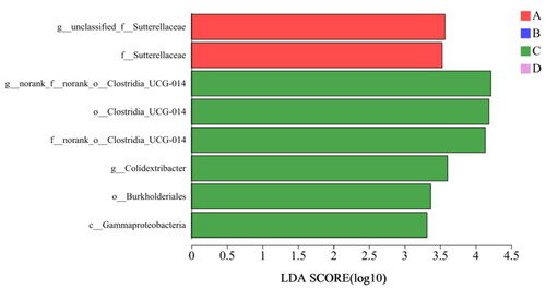 Figure 6. LDA value distribution of cecal microflora in Minxinan black rabbits. Note: A = Control (0 mg·kg−1), B = Group I (50 mg·kg−1), C = Group II (100 mg·kg−1), D = Group III (150 mg·kg−1).