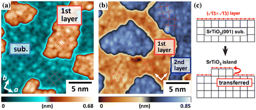 Figure 7. STM images of ultrathin SrTiO3(001) films grown on (√13 × √13)-R33.7o reconstructed surfaces. Thickness of (a) 0.3 UCs and (b) 1.6 UCs. The images were obtained at 78 K (20 × 20 nm2, V s = +1.5 V, I t = 30 pA). (c) Schematic illustration of the homoepitaxial growth mechanism of SrTiO3 film on the (√13 × √13)-R33.7° substrate.