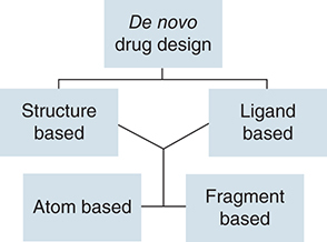 Figure 6. Schematic representation of the de novo drug-design methodology.