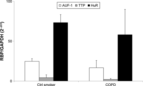 Figure S1 Expression of RBP mRNA in PBMC of COPD patients and control smokers.Notes: Real-time PCR analysis for RBP mRNA in PBMC of control smokers (n=4) and COPD patients (n=5) (Table S1). Data are mean ± SEM of RBP mRNA normalized to GAPDH mRNA and expressed as fold over GAPDH (ctrl) (as 2−ΔCt).Abbreviations: RBP, RNA-binding protein; PBMC, peripheral blood mononuclear cell; SEM, standard error of mean.
